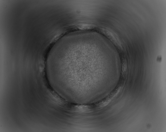 X0000102820367200809021256