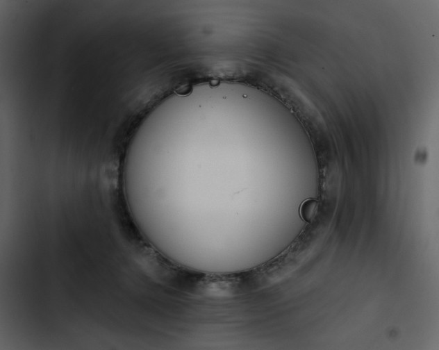 X0000102820368200809021256