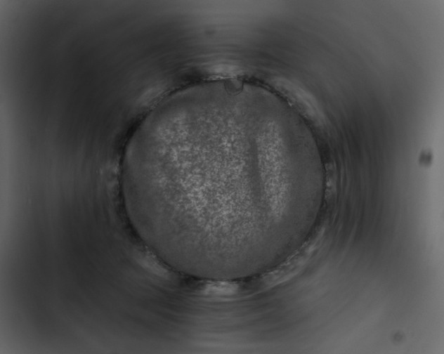 X0000102820369200809021256