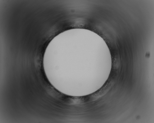 X0000102820370200809021256