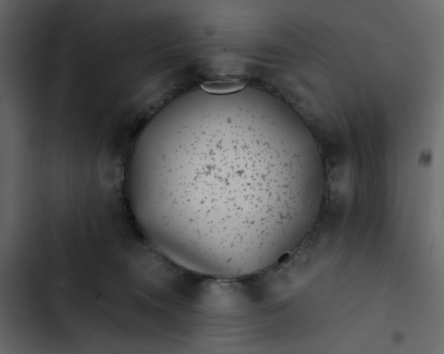 X0000102820372200809021256