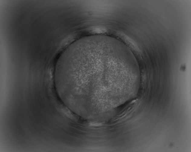 X0000102820373200809021256