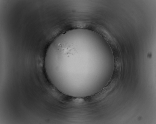 X0000102820374200809021256