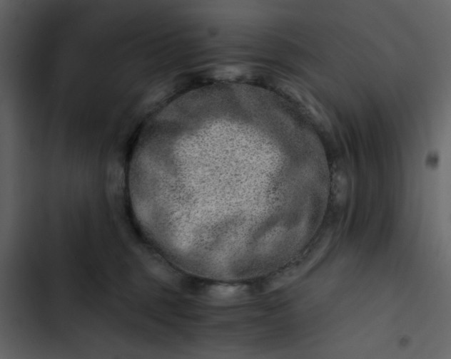 X0000102820375200809021256