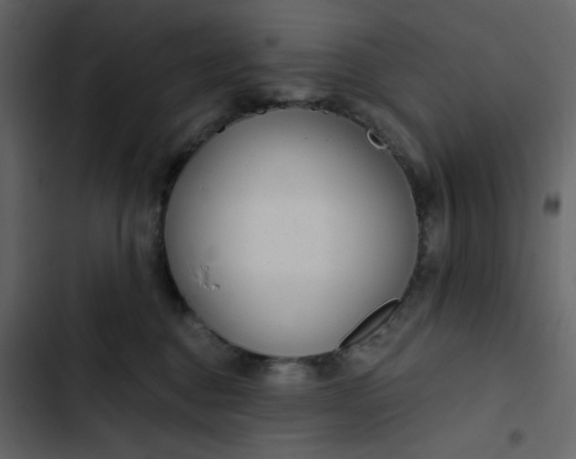 X0000102820376200809021256