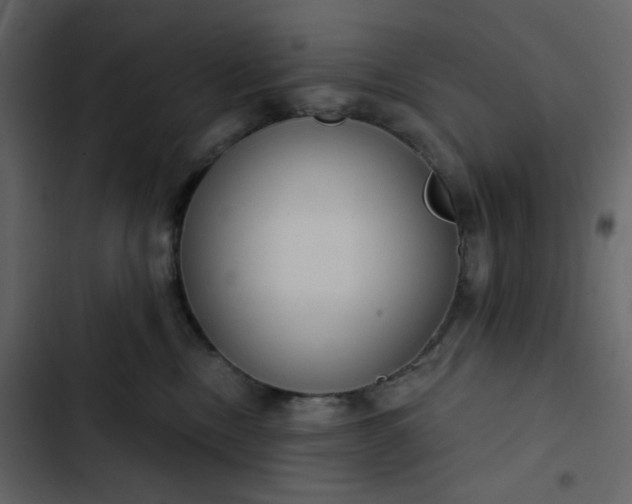 X0000102820378200809021256
