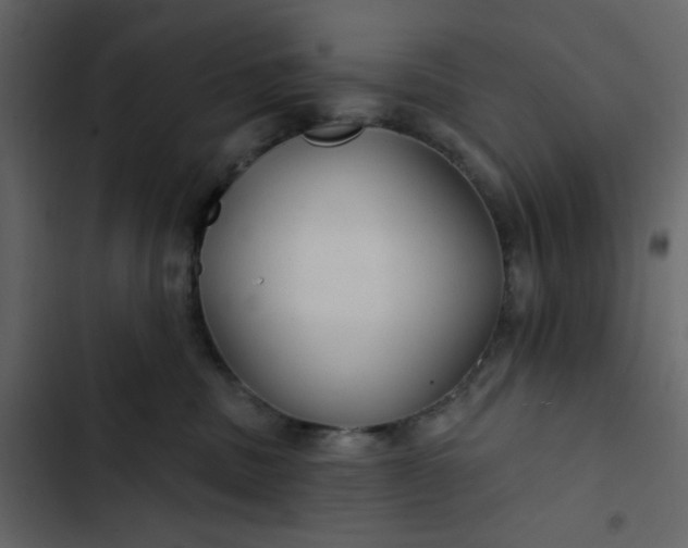 X0000102820379200809021256