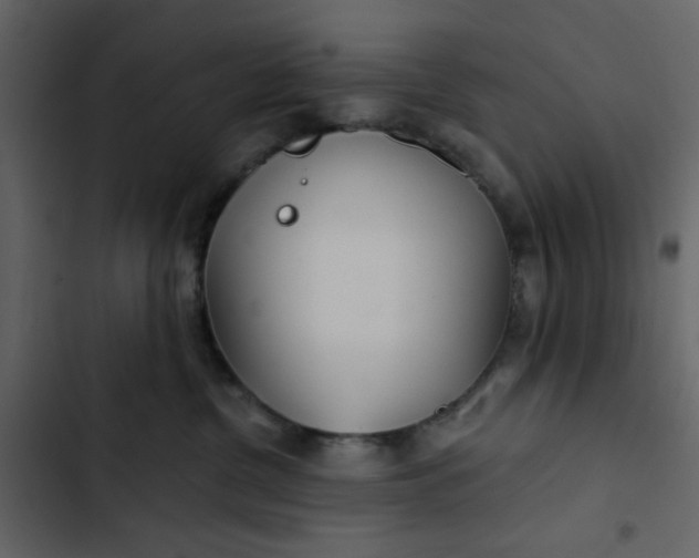 X0000102820380200809021256