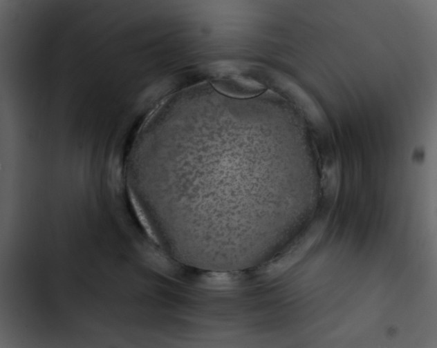 X0000102820381200809021256