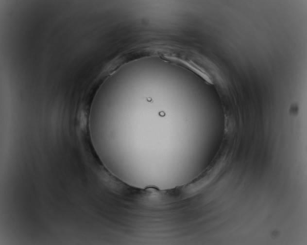 X0000102820382200809021256