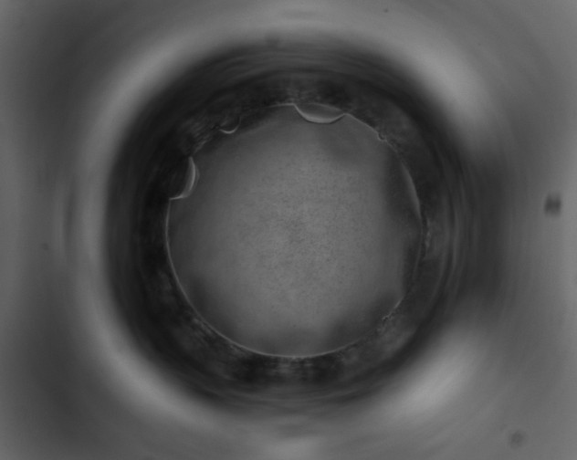 X0000102820383200809021256