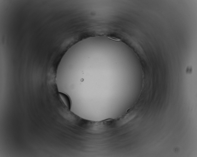 X0000102820384200809021256