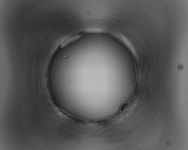 X0000102820385200809021255