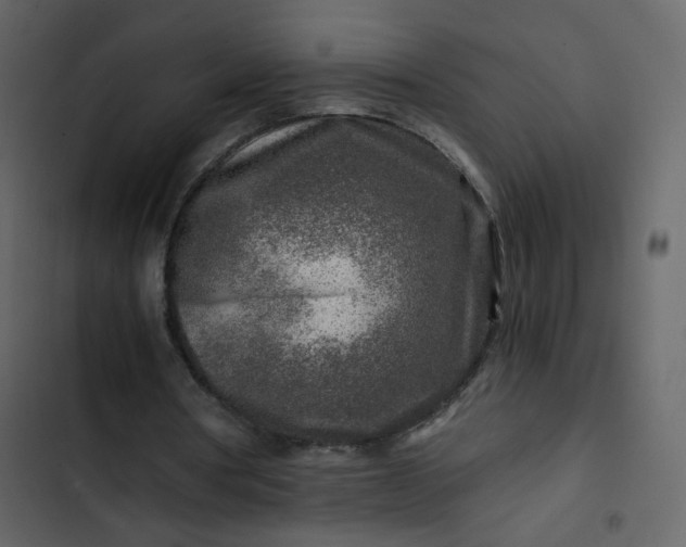 X0000102820386200809021255