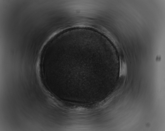 X0000102820387200809021255