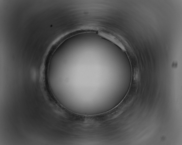 X0000102820388200809021255