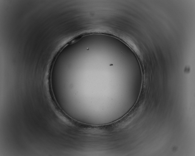 X0000102820389200809021255