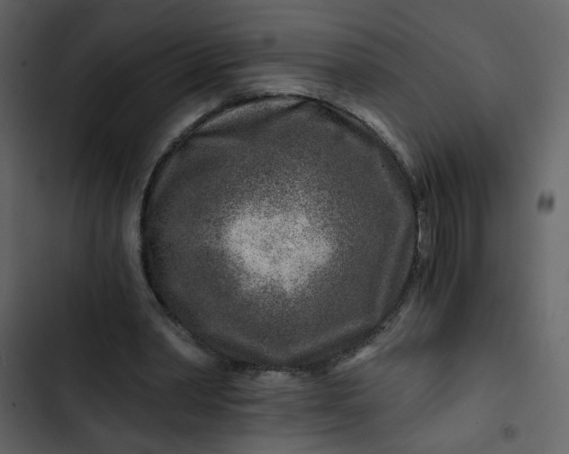 X0000102820390200809021255