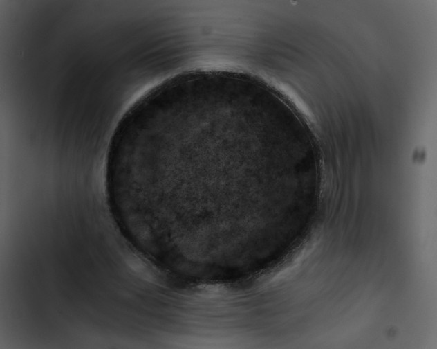 X0000102820391200809021255
