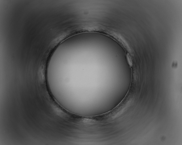 X0000102820393200809021255