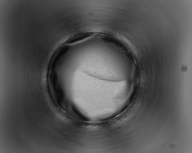 X0000102820394200809021255