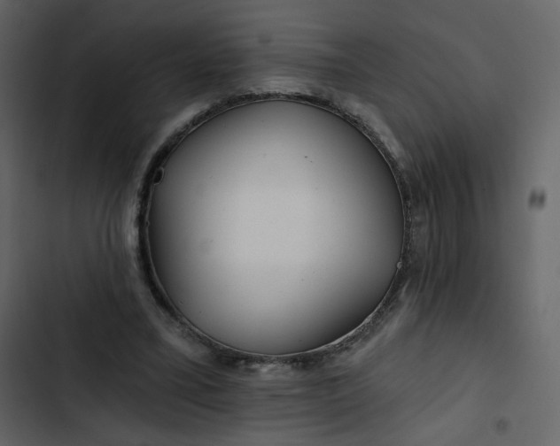X0000102820395200809021255