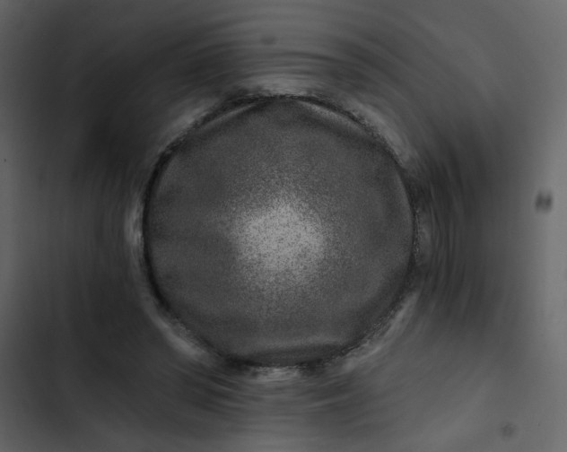 X0000102820398200809021255