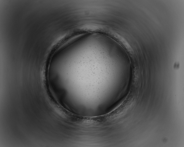X0000102820399200809021255