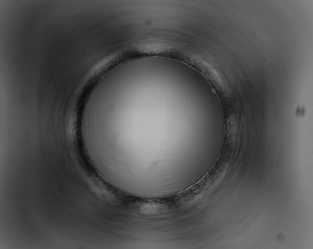 X0000102820400200809021255