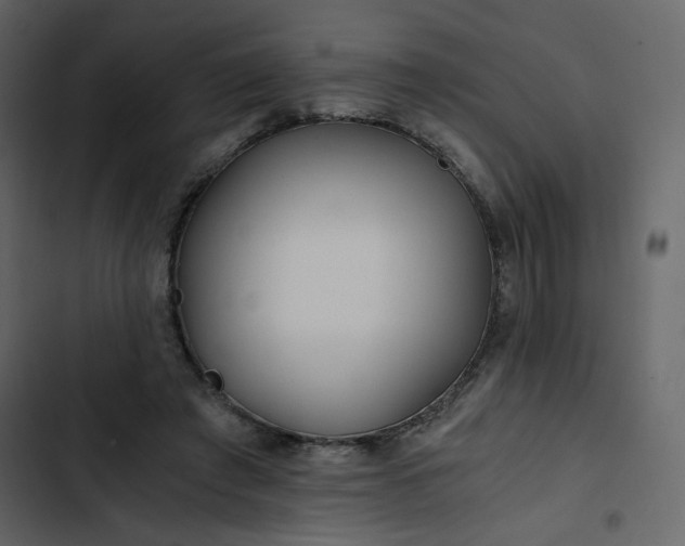 X0000102820401200809021255