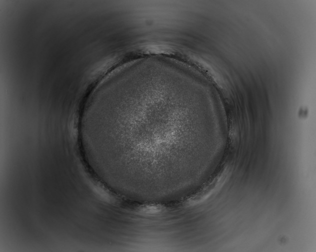 X0000102820402200809021255