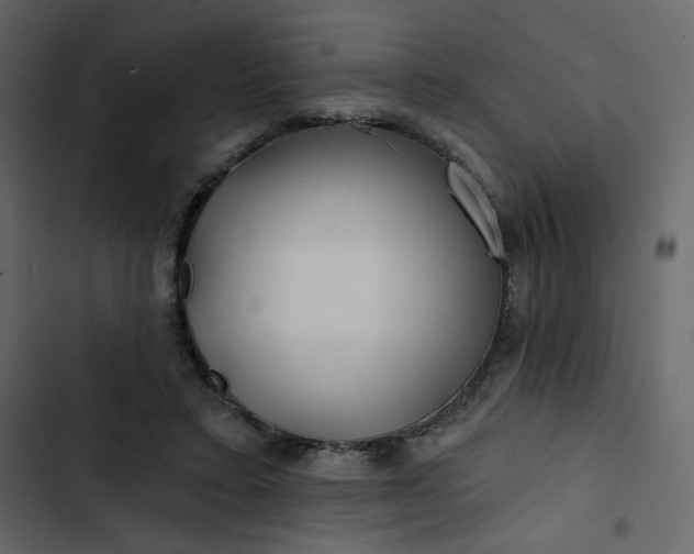 X0000102820403200809021255