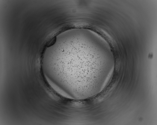 X0000102820405200809021255