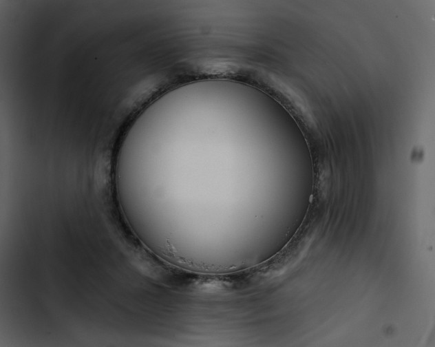 X0000102820407200809021255