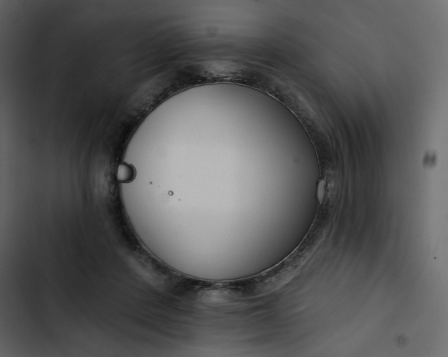 X0000102820408200809021255