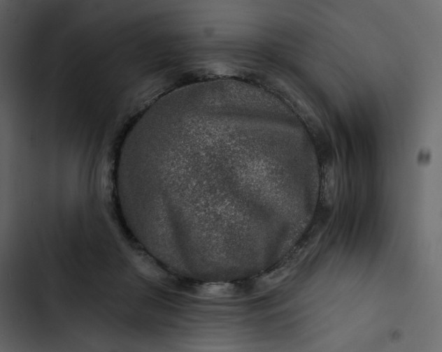 X0000102820410200809021255
