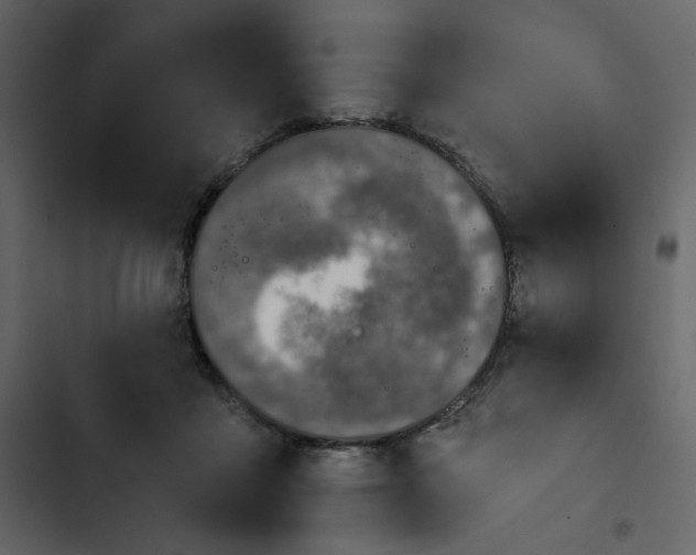 X0000102820411200809021255