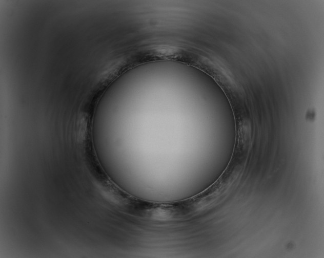 X0000102820412200809021255