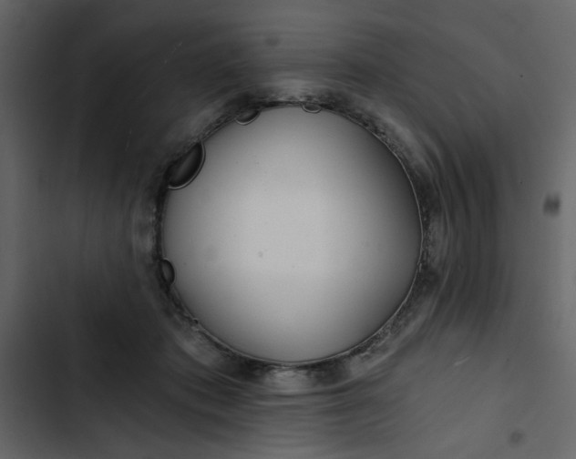 X0000102820413200809021255