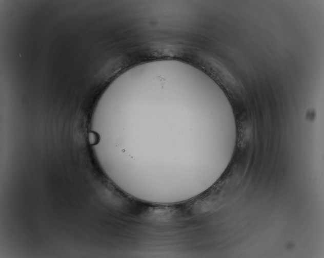 X0000102820414200809021255