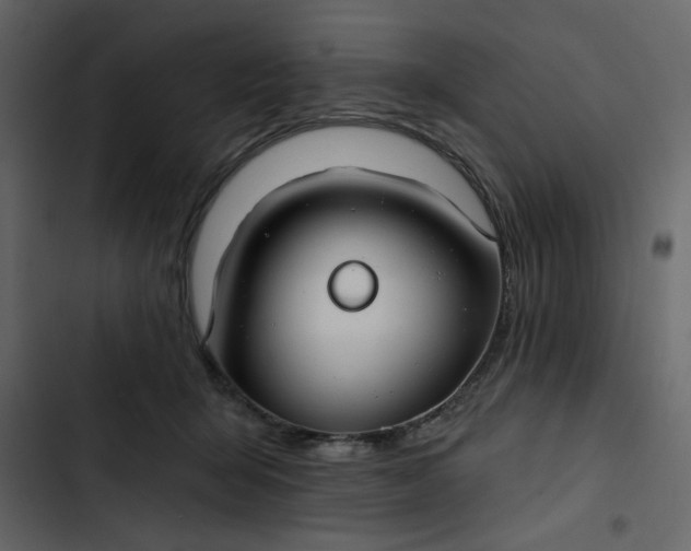 X0000102820415200809021255