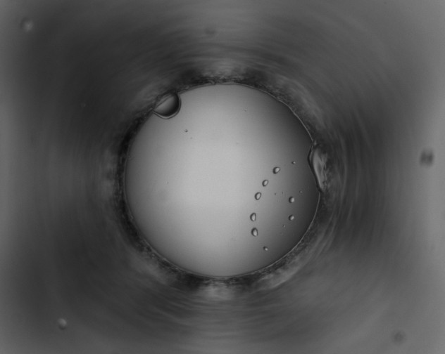 X0000102820416200809021255