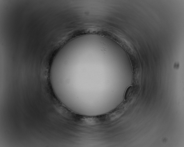 X0000102820417200809021255