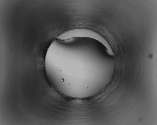 X0000102820419200809021255