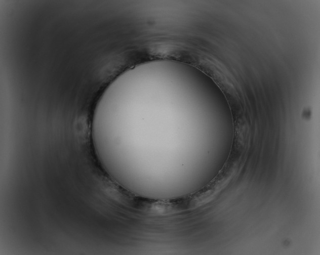 X0000102820420200809021255