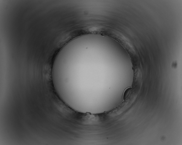 X0000102820421200809021255