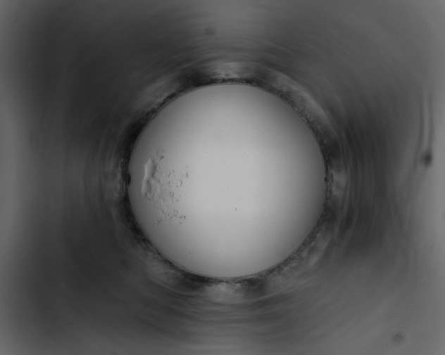 X0000102820422200809021255