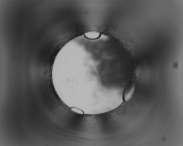 X0000102820423200809021255