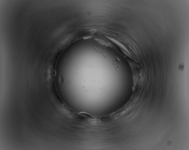 X0000102820424200809021255