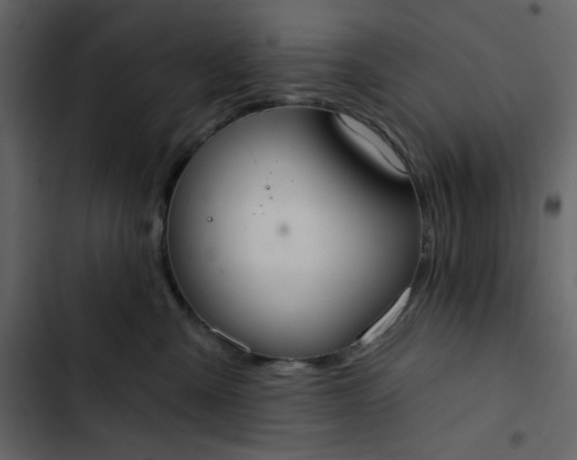 X0000102820427200809021255